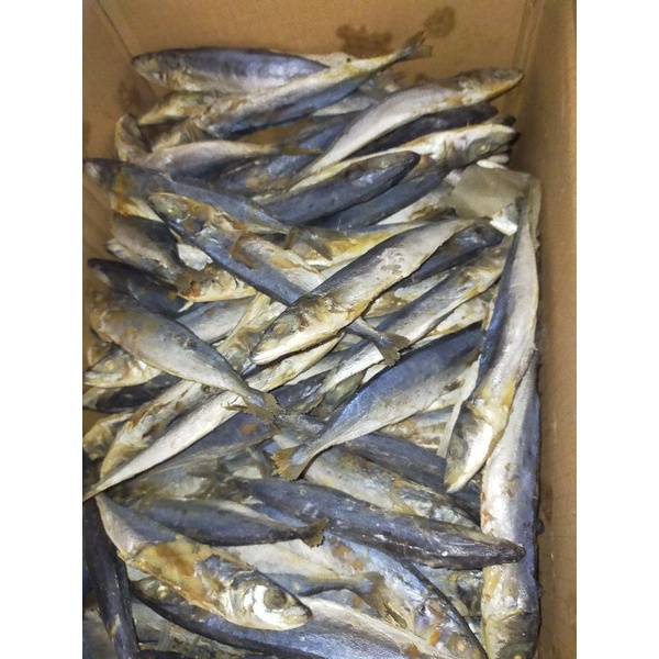 

Ikan Layung Asin Ukuran Besar Siap Goreng Kemasan 100 Gram