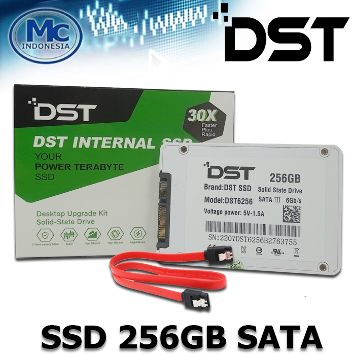 SSD Solid State Drive 256GB SATA III DST