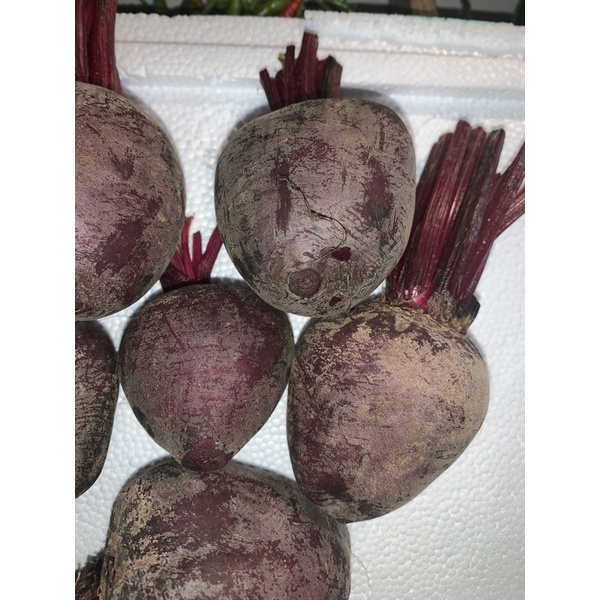 

buah bit / 500 gram Rp 13.000