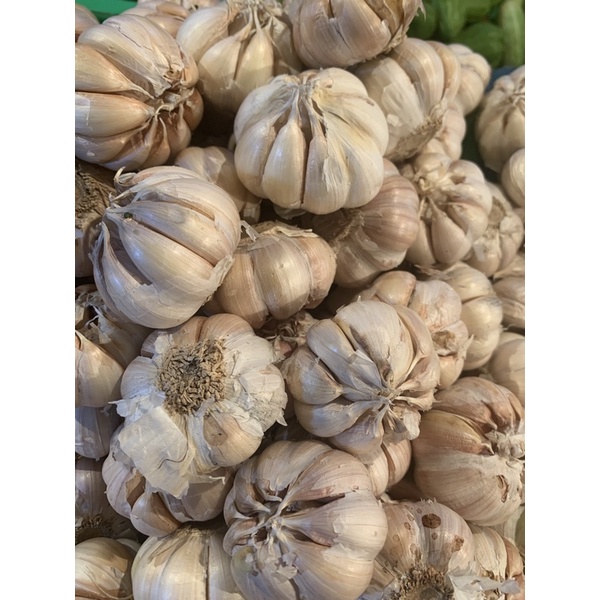 

bawang putih /250 gram Rp 18.000