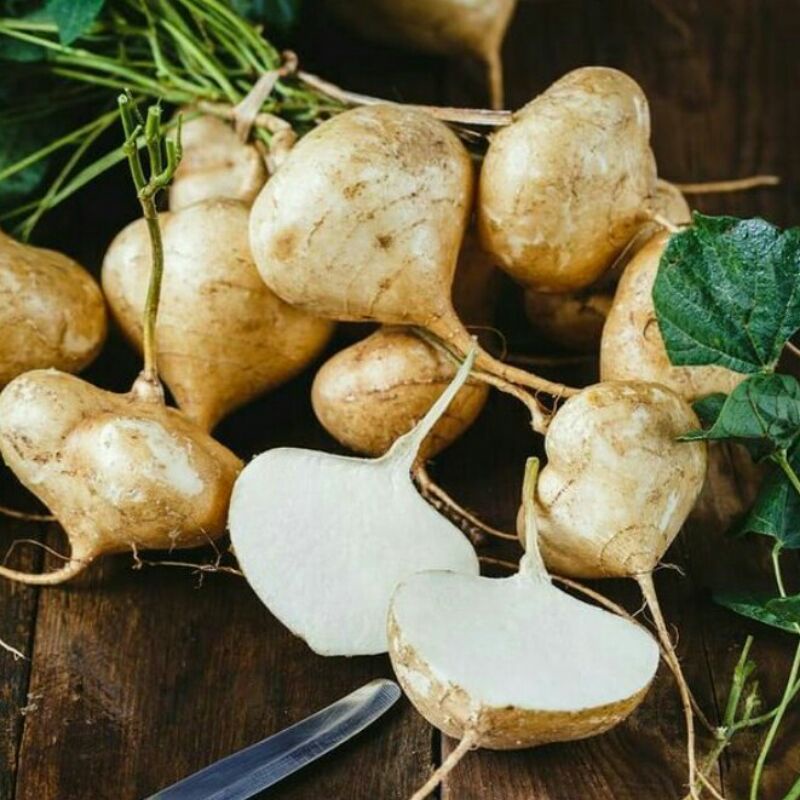 

BENGKOANG Fresh per ikat