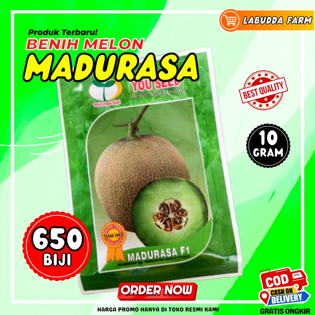 Jual Benih Melon Madurasa F1 Bibit Melon Madu Rasa Hibrida Tahan Virus Kemasan 20g Shopee 