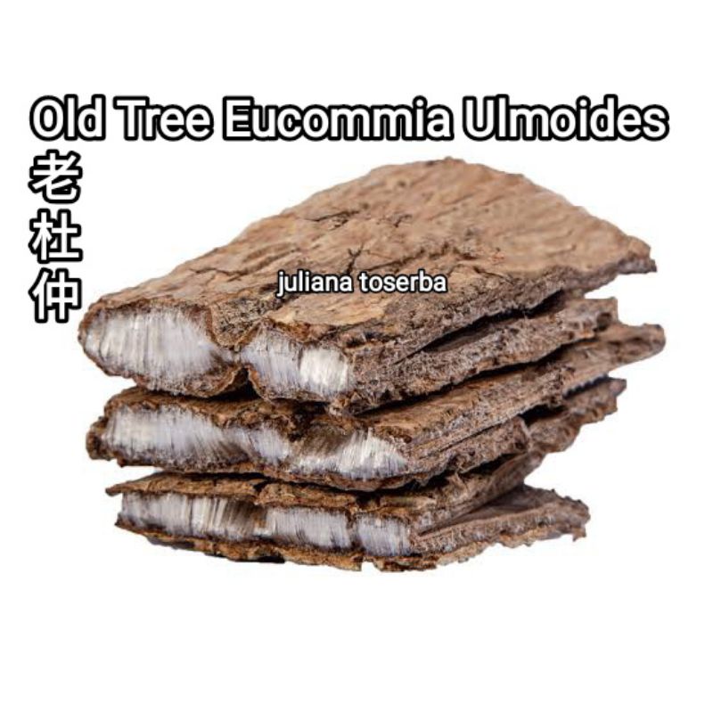 

Du Zhung 老杜仲 Up 10 Years Eucommia Ulmoides 100gram