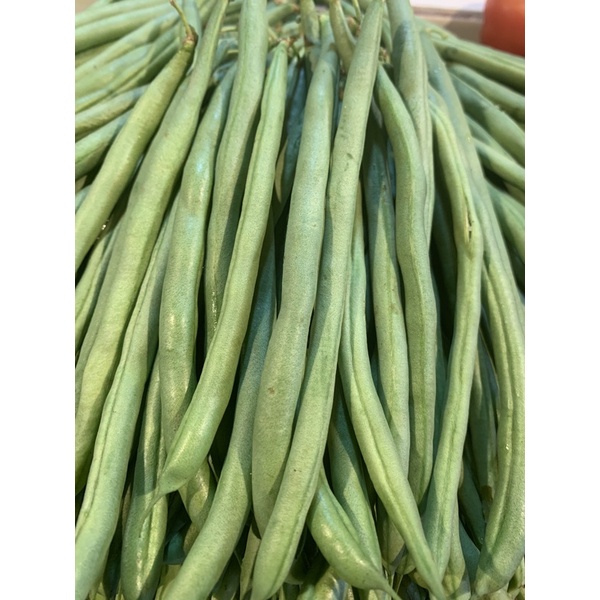 

buncis lokal /250gram Rp8.000