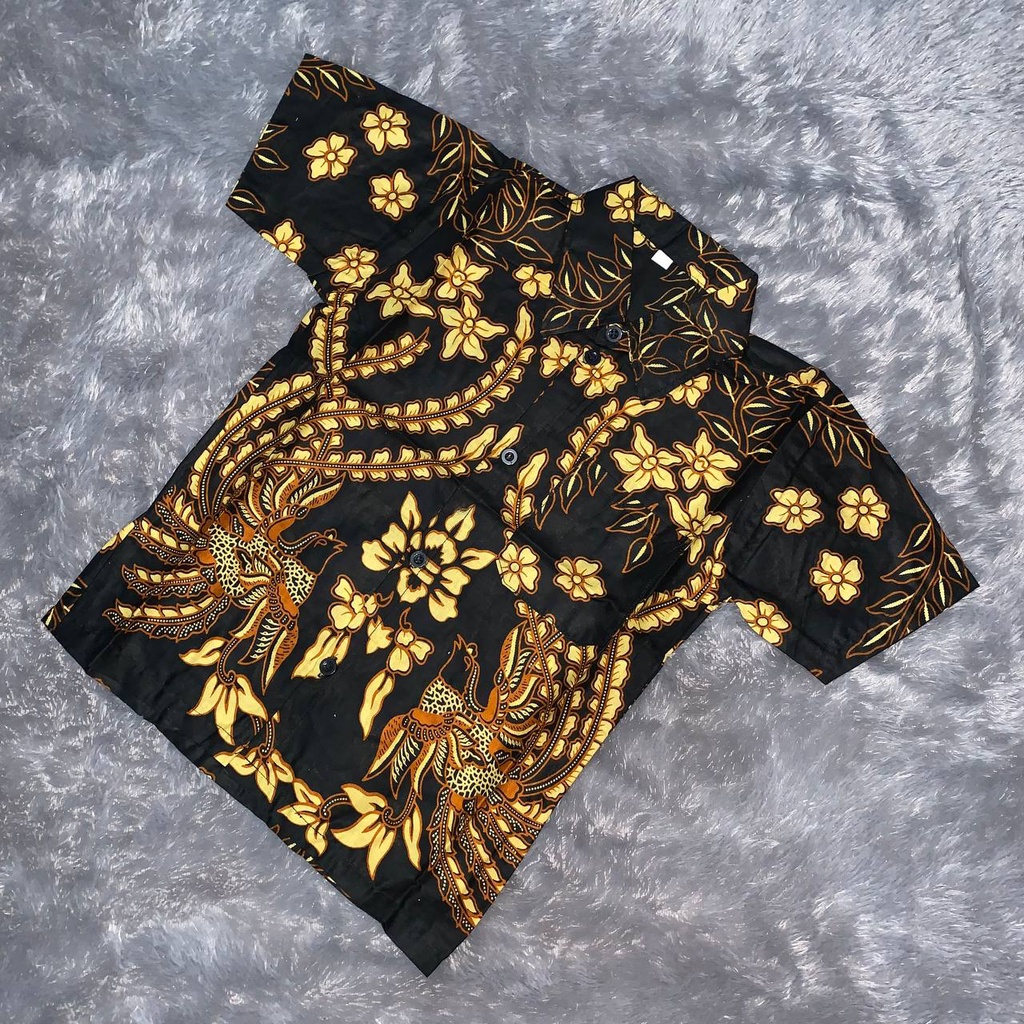 Batik Anak Laki Laki - Baju Batik Anak Laki Laki Usia 2-11 Tahun