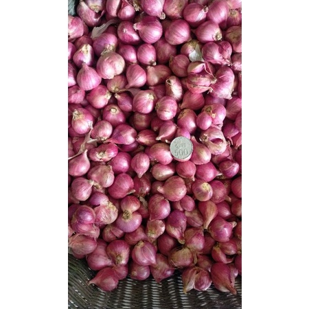 

Bawang Brebes SUPER per 1 kg
