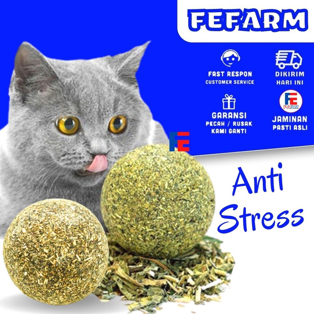 Catnip Ball Treat Kucing Catmint Ball Snack Kucing Cat Toys Mainan Kucing FEFARM