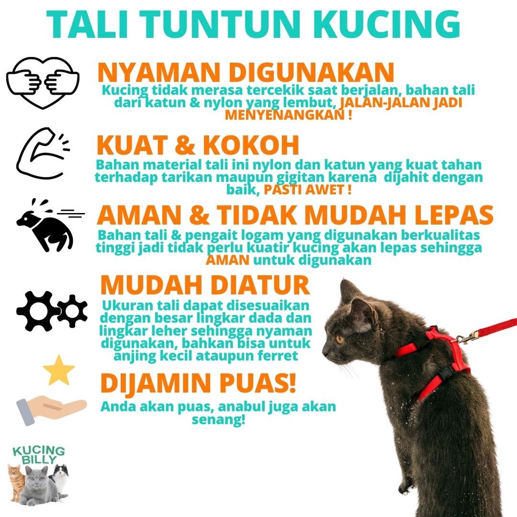 Tali tuntun Harness H polos kucing anjing