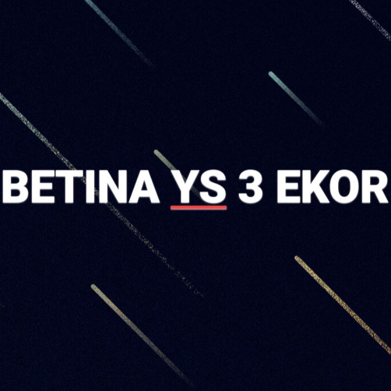 KENARI BETINA YORKSHIRE (001)