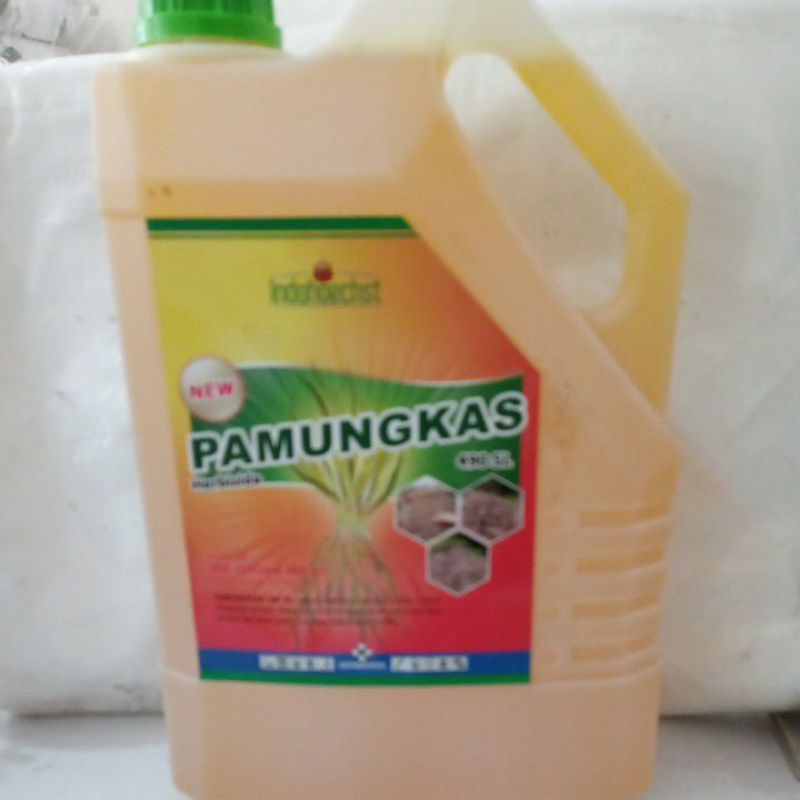 PAMUNGKAS herbisida sistemik BA glifosat 490sl 5 liter