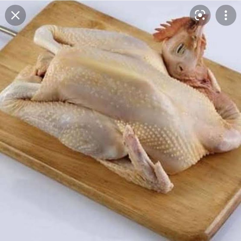 

Ayam pejantan berat hidup 5 ons