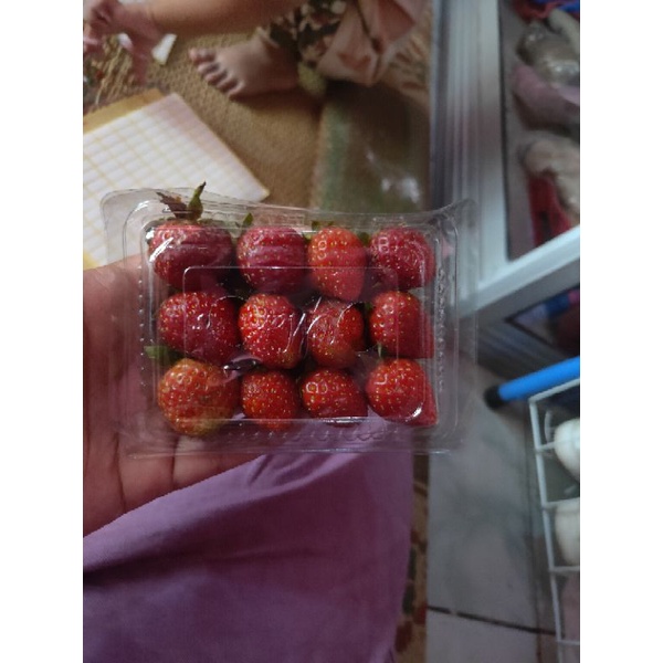 

STRAWBERRY FRESH|STRAWBERRYMURAH|STRAWBERRYBANDUNG