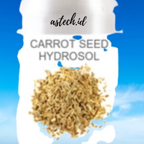 

Carrot Seed Hydrosol 50Ml/Carrot Floral Water 50 Ml/Face Toner