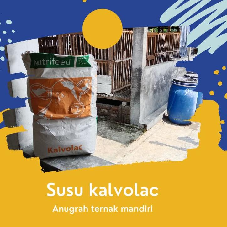 

[PRODUK 8KVVK] SUSU KALVOLAC | PENGGANTI SUSU INDUK ANTI DIARE NETTO 1KG 00S