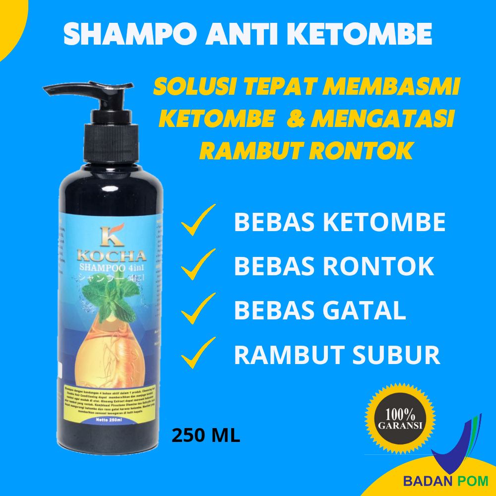 Sampo Anti Ketombe Dan Rontok Obat Serum Penumbuh Rambut Botak 4 in 1 Herbal