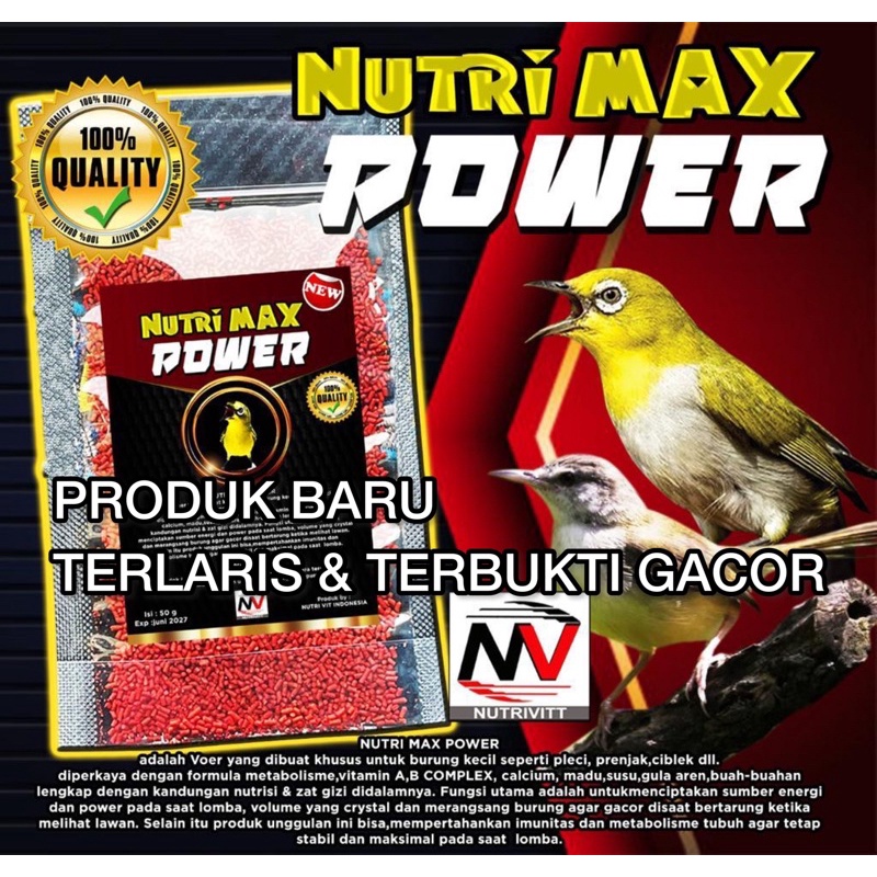 Nutri Max Power Voer Burung Pleci menciptakan sumber energi power volume yang mengkristal gacor
