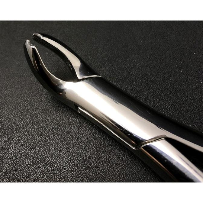 Tang Cabut Gigi Geraham Bawah Extraction Forceps American Pattern
