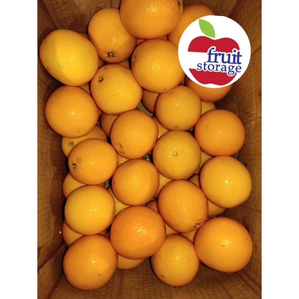 

Jeruk Valencia Import 900g Fresh buah segar