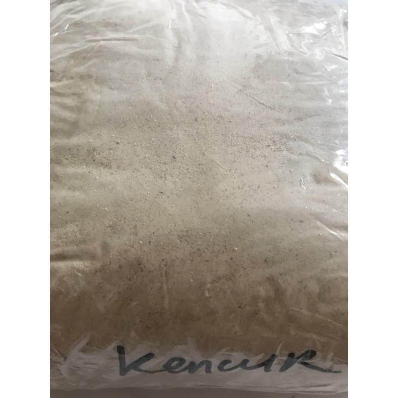 

Kencur bubuk / kencur bubuk murni / kencur bubuk asli / jsr asli