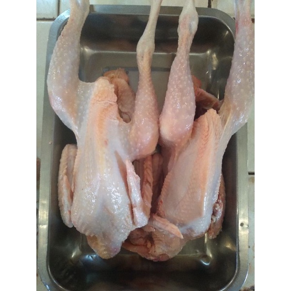 ayam jantan 1 kg hidup