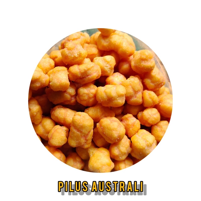 

Pilus Australi