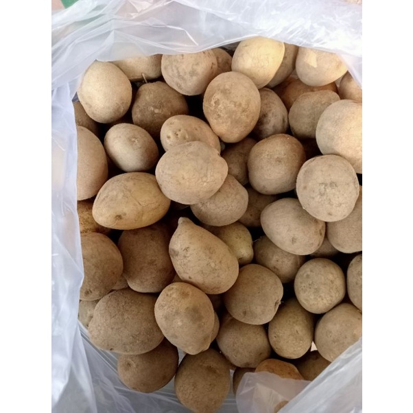 

KENTANG ASLI DARI PETANI BERAT 1 KG