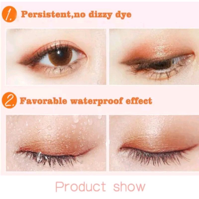 EYESHADOW 12 Colour Palette Lameila