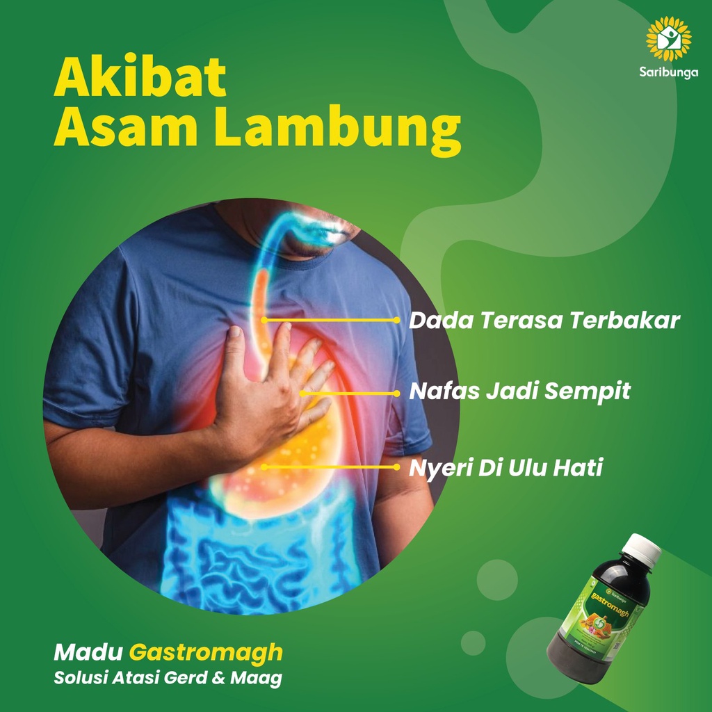 Madu Gastromagh Original - Gastromaag Ampuh Atasi Keluhan Maag Mual Perut kembung Beli 1 Gratis 1