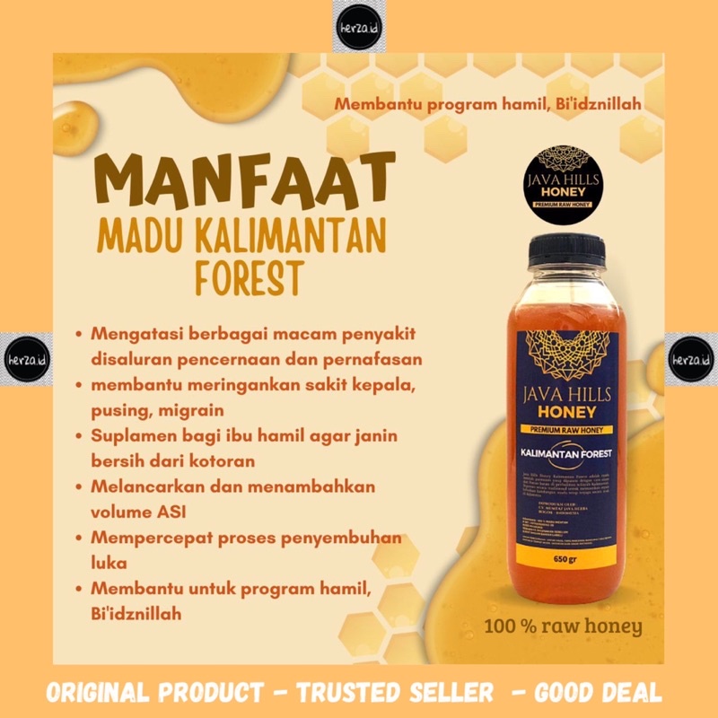 

Madu Kalimantan Forest Hutan Java Hills Honey 500 gr - premium raw honey madu mentah murni asli herbal mumtaz javahills organik 500gr