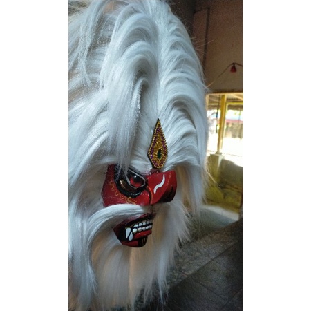 ganongan jambul tinggi