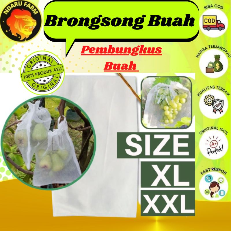 Brongsongan Pembungkus Plastik bungkus  Buah NDARUFRAM