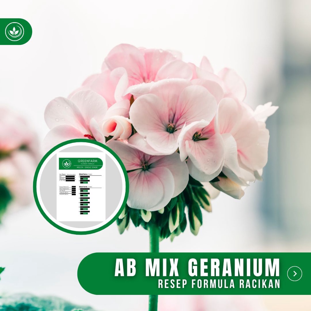 Resep AB Mix Geranium Formula Racikan Nutrisi Bunga Geranium