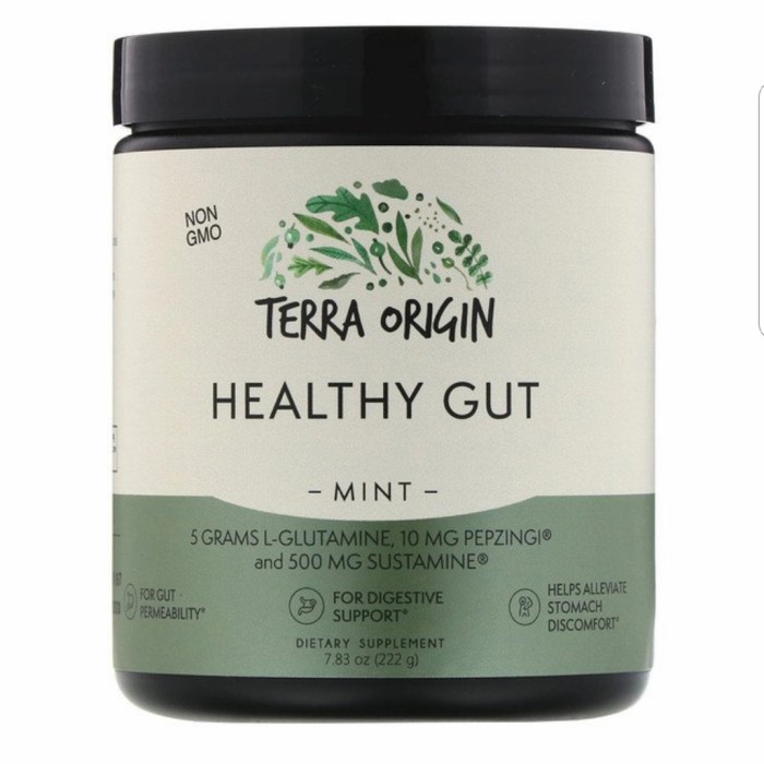 Terra Origin Healthy Gut Mint Digestive Support 222 Gram