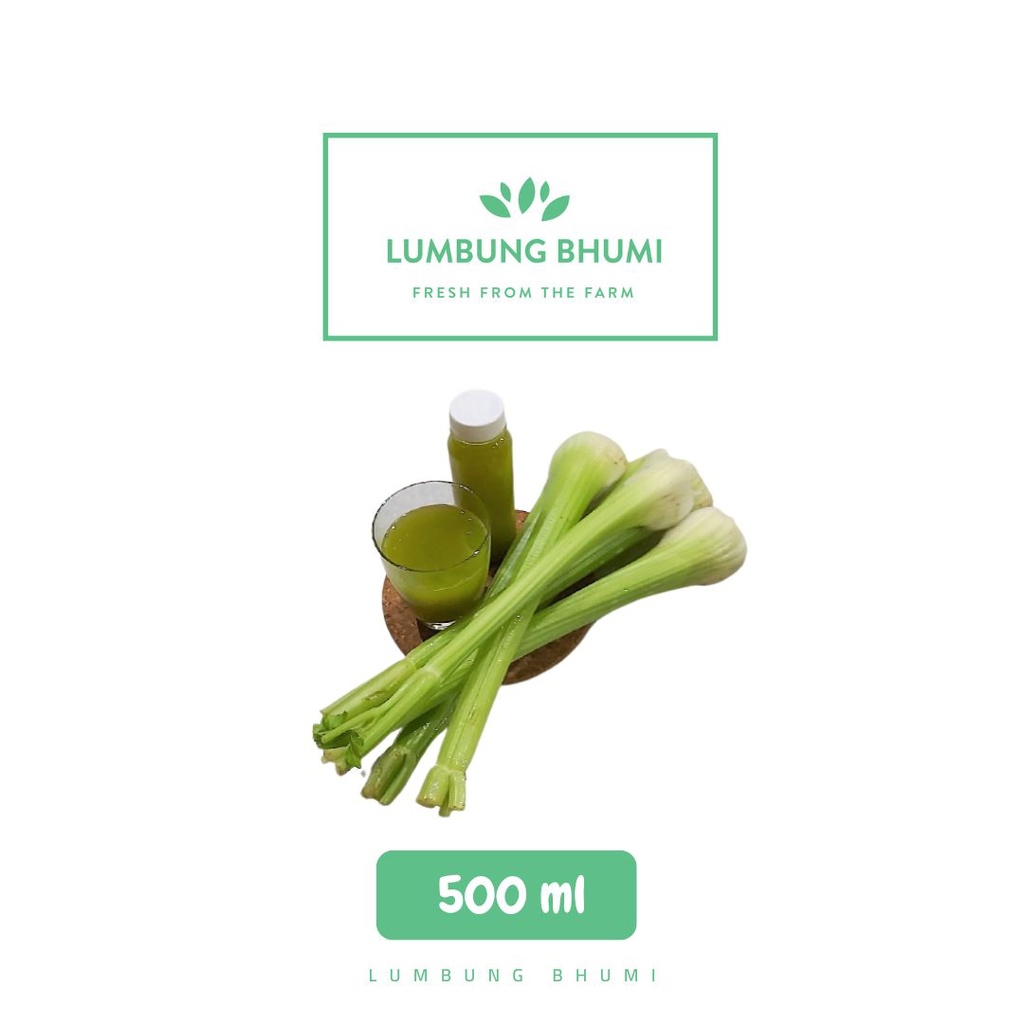 

Lumbung Bhumi - Sari Seledri / Celery Stick MURNI 500 ml ( Juice Your Day )