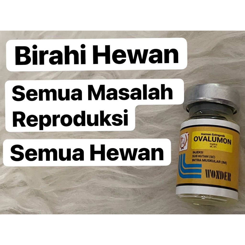 OVALUMON WONDER Obat Birahi Hewan Obat Birahi Kucing Anjing Kelinci dll