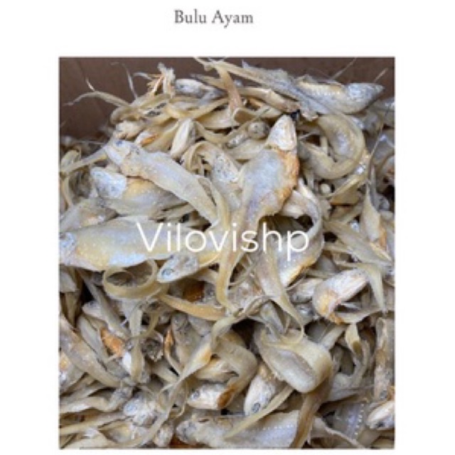 

Ikan asin Bulu ayam 500gr