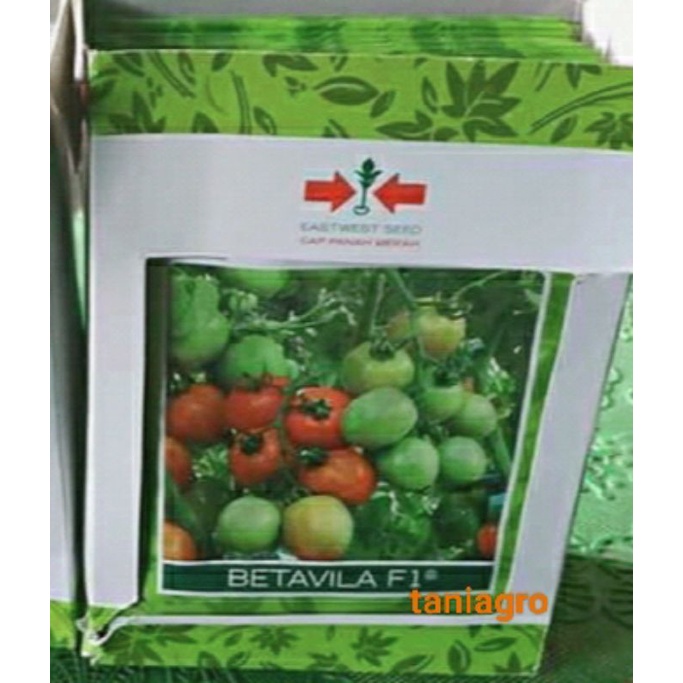 benih tomat BETAVILA F1 5 gr
