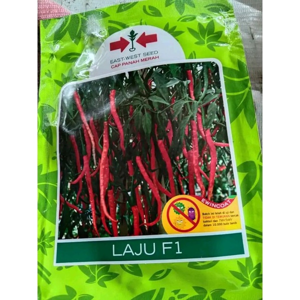 Benih cabe kriting LAJU F1 1750btr