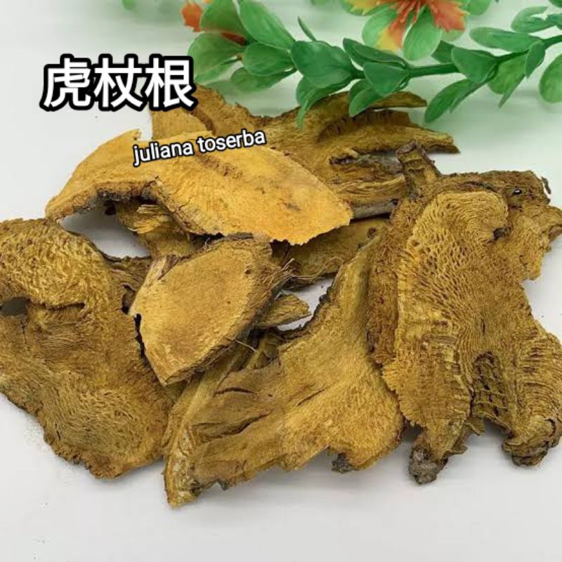 

Hu Chang Ken 虎杖根 Polygonum Cuspidatum 100 gram