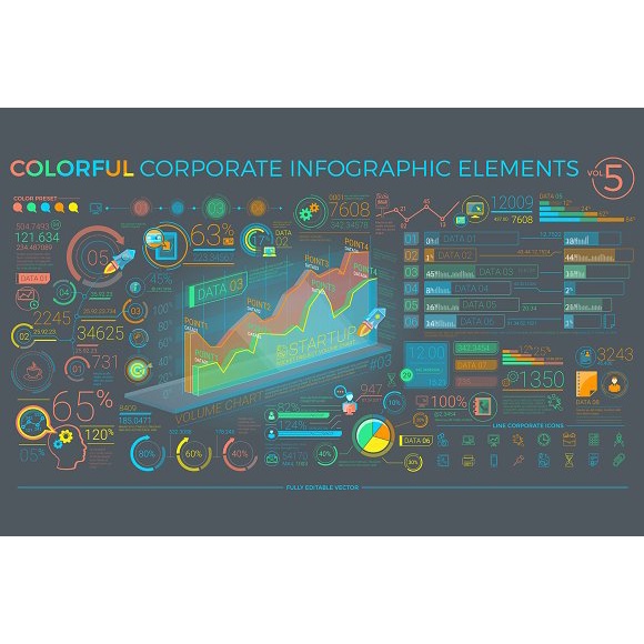 Colorful Corporate Infographics