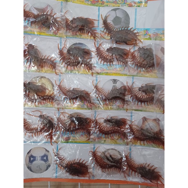 MAINAN KELABANG_KECOA