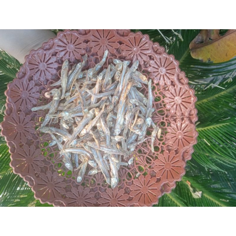 

TERLARIS TERI MURAH BERAT 50 GR