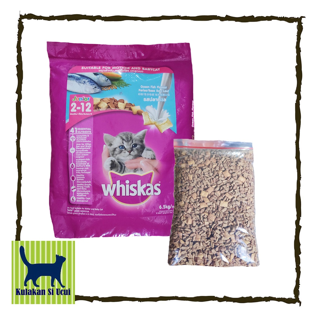 Jual Whiskas Junior Ocean Fish With Milk Isi 1 Kg Makanan Kering Kucing