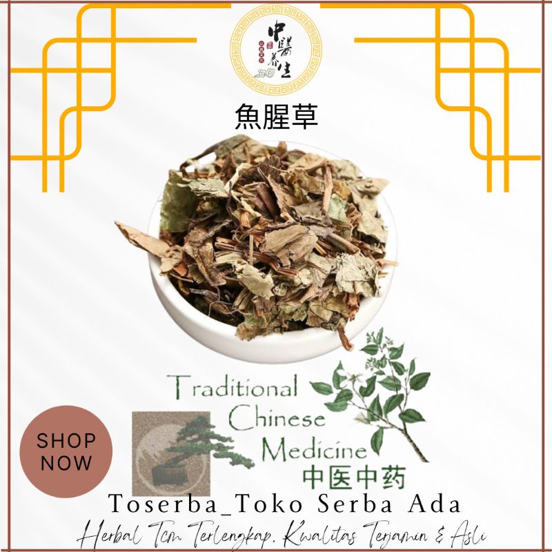 

100gr Herbal Yu Xing Cao 鱼腥草 Houttuynia Houttynia Cordata Heartleaf Amis Amisan