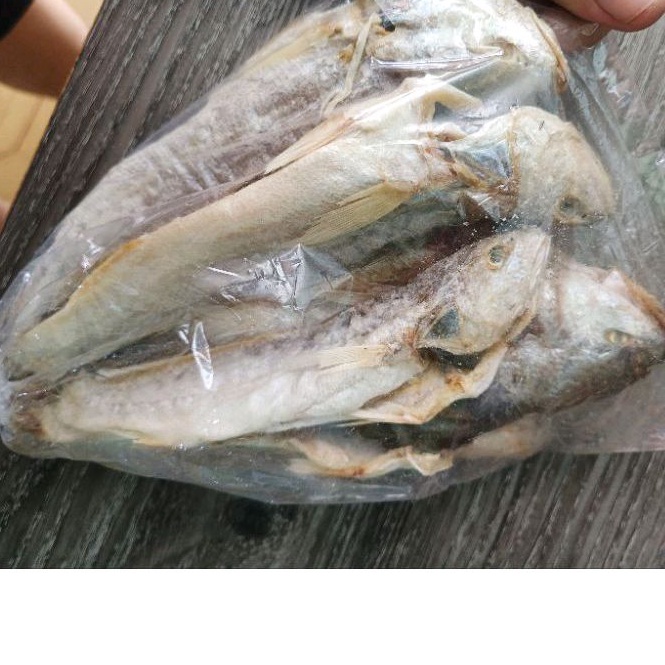 

Ikan asin samge kepala batu 250gram / ikan gulama khas bagan sinaboi tuapa / makanan segar laut riau