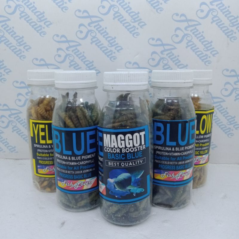pakan ikan predator chana maggot BSF colour booster blue, yellow kemasan botol 100ml