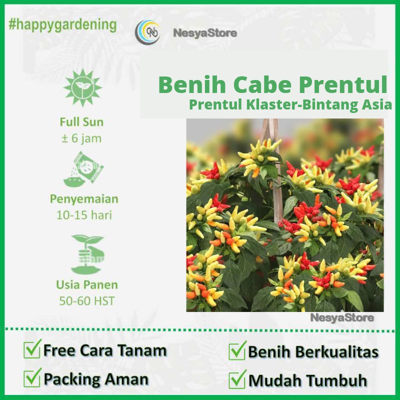 30 - Benih Cabe Cabai Rawit PRENTUL KLASTER