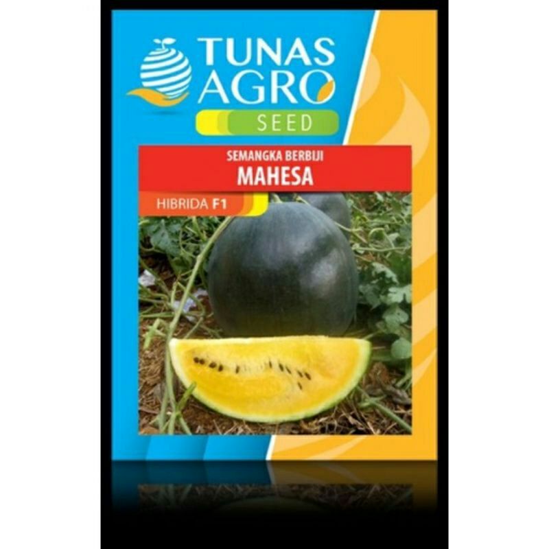 BENIH SEMANGKA MAHESA F1 BENIH RESMi