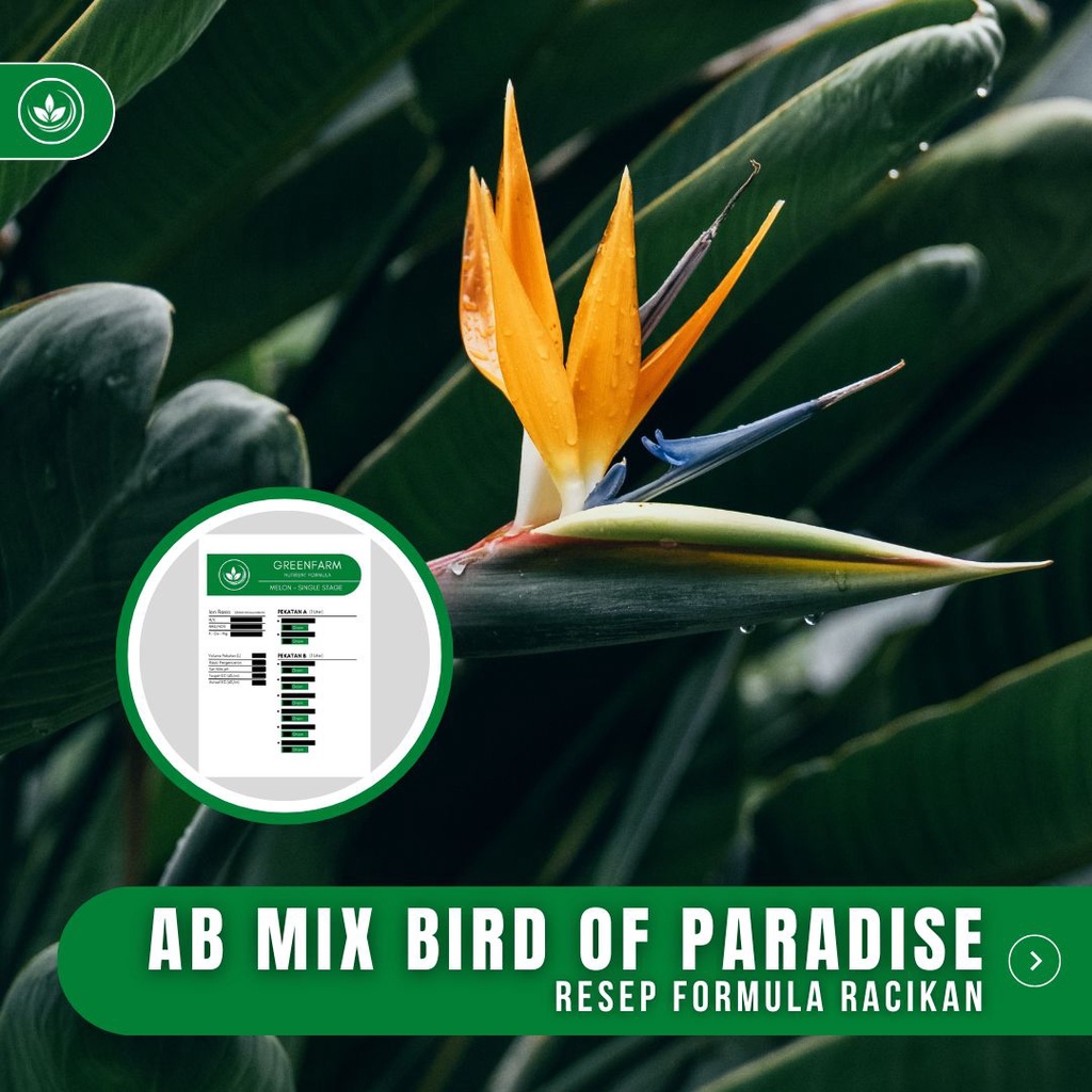 Resep AB Mix Bird Of Paradise Formula Racikan Nutrisi Bunga Cendrawasih