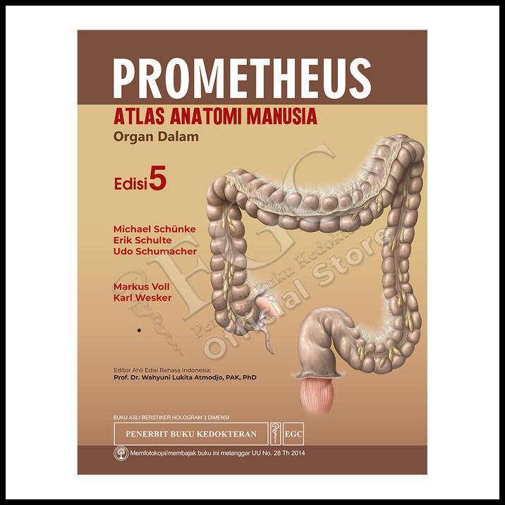 Bestt.Brand | Egc Prometheus Organ Dalam Edisi 5